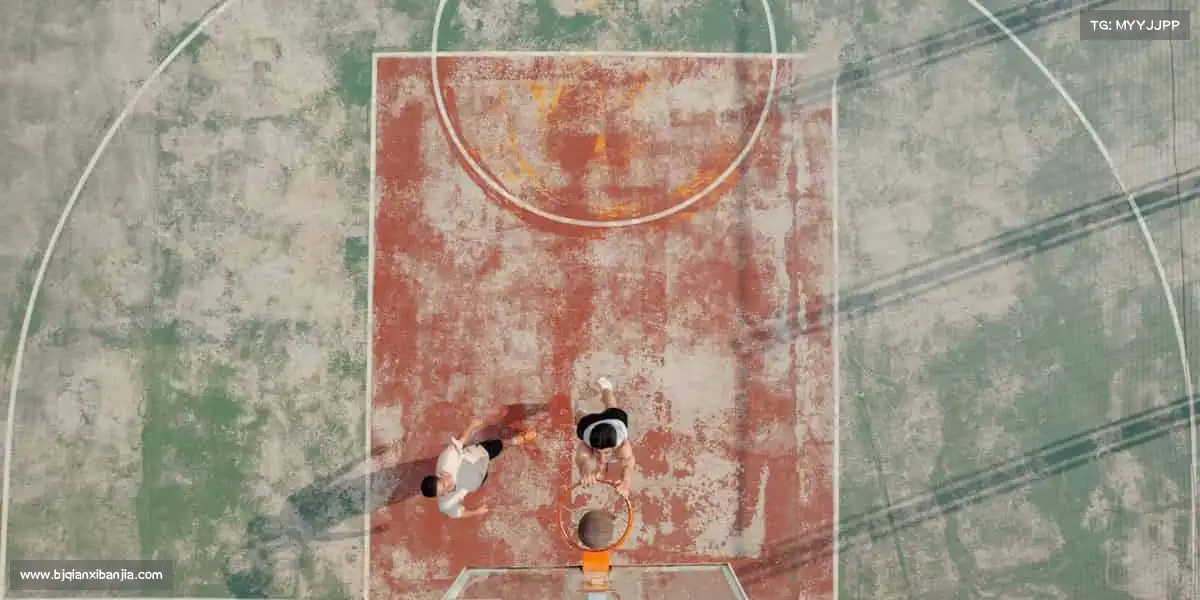 为什么选择我们